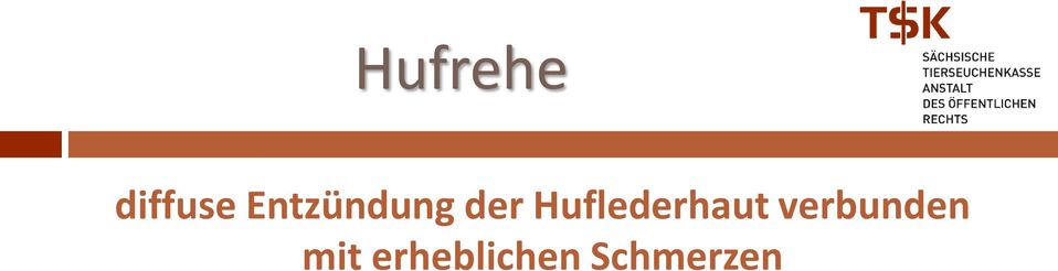 Huflederhaut