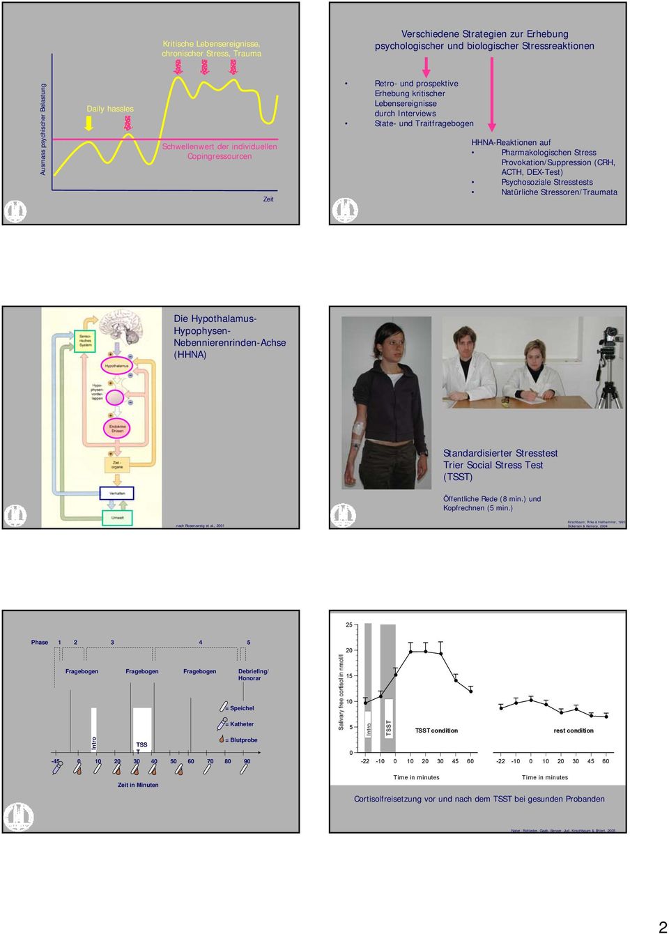 Provokation/Suppression (CRH, ACTH, DEX-Test) Psychosoziale Stresstests Natürliche Stressoren/Traumata Die Hypothalamus- Hypophysen- Nebennierenrinden-Achse (HHNA) Standardisierter Stresstest Trier