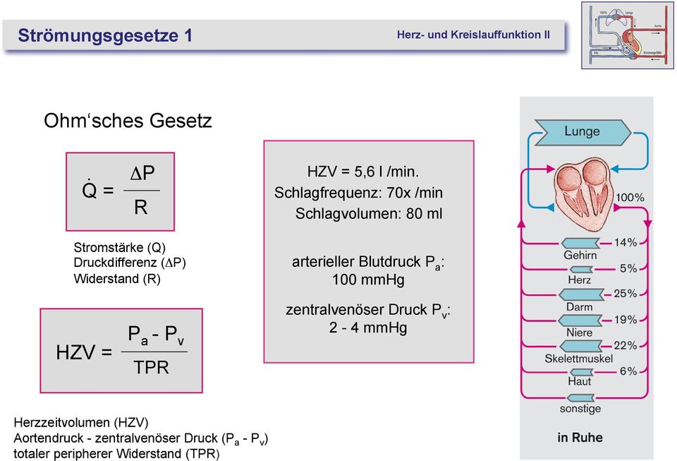 Widerstand (R) arterieller Blutdruck P a : 100 mmhg HZV = P a - P v TPR zentralvenöser