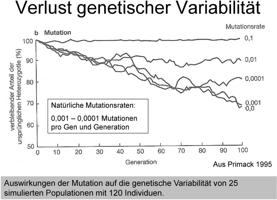 Generation Auswirkungen der Mutation auf die genetische