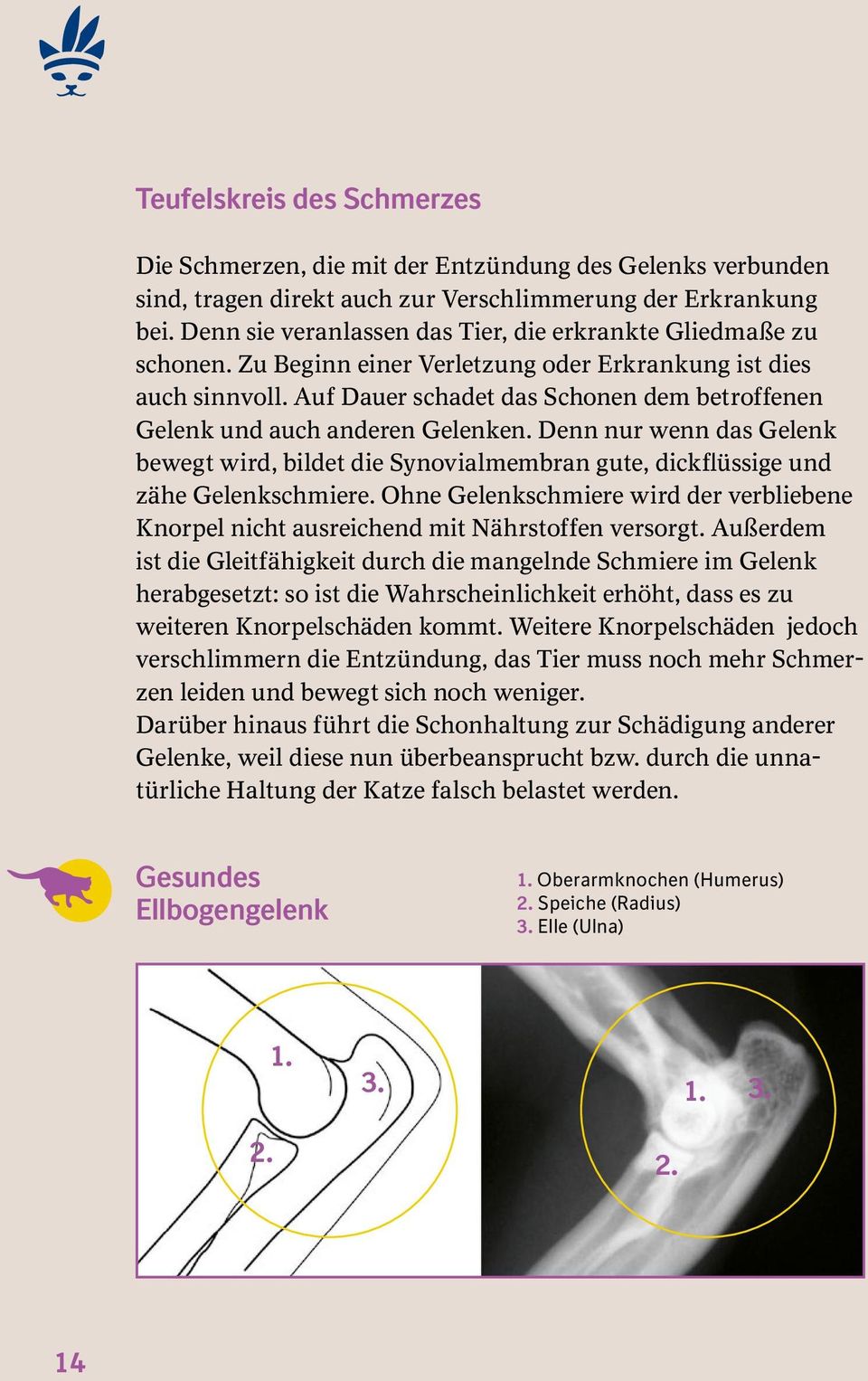 Auf Dauer schadet das Schonen dem betroffenen Gelenk und auch anderen Gelenken. Denn nur wenn das Gelenk bewegt wird, bildet die Synovialmembran gute, dickflüssige und zähe Gelenkschmiere.