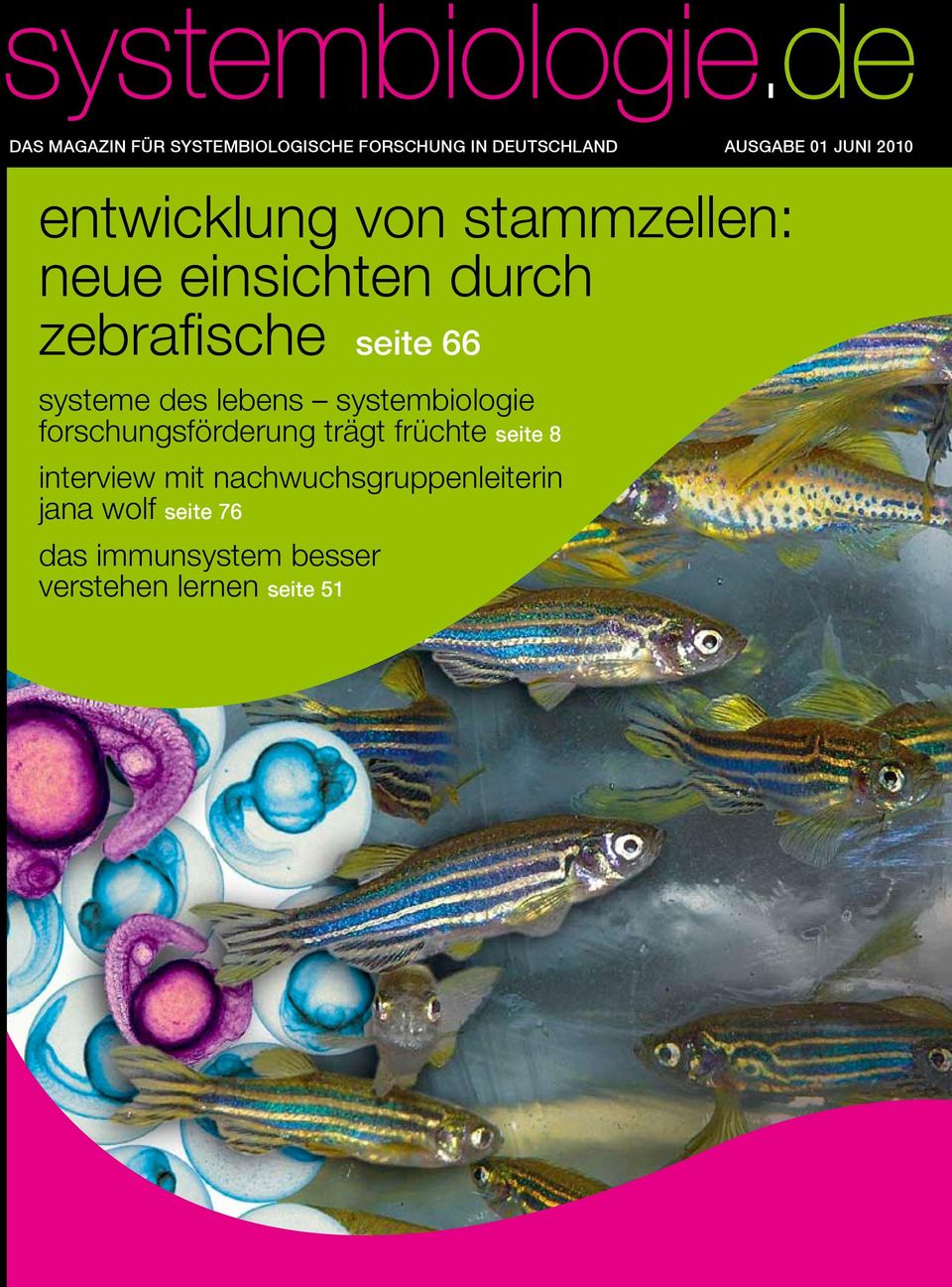 stammzellen: neue einsichten durch zebrafische seite 66 systeme des lebens systembiologie