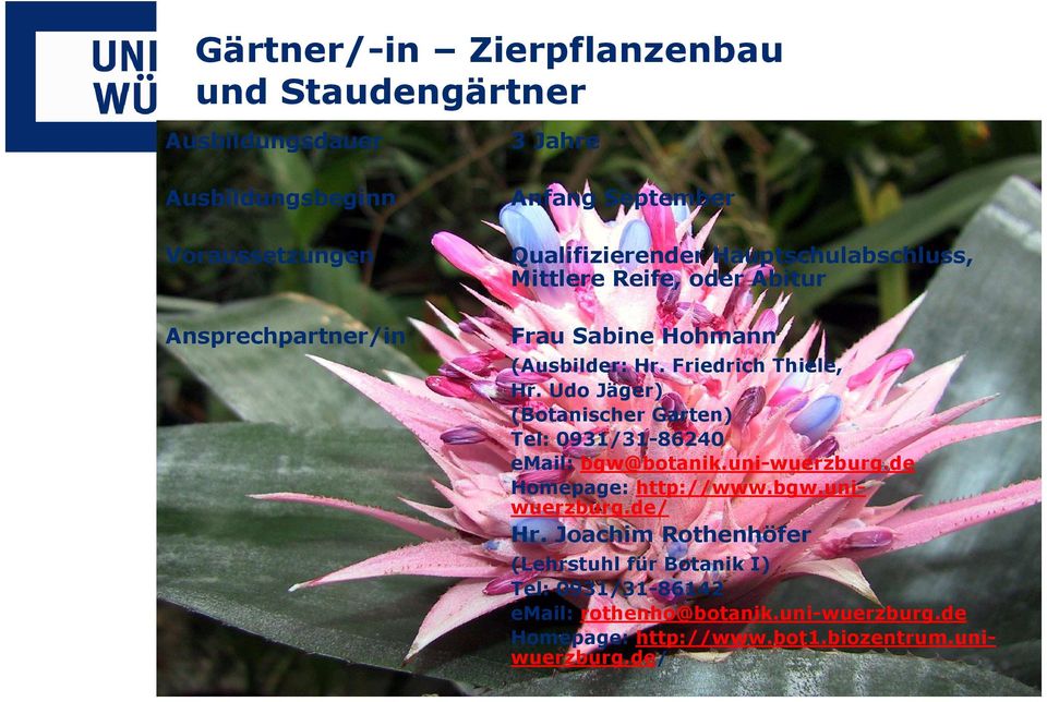 Udo Jäger) (Botanischer Garten) Tel: 0931/31-86240 email: bgw@botanik.uni-wuerzburg.de Homepage: http://www.bgw.uniwuerzburg.de/ Hr.