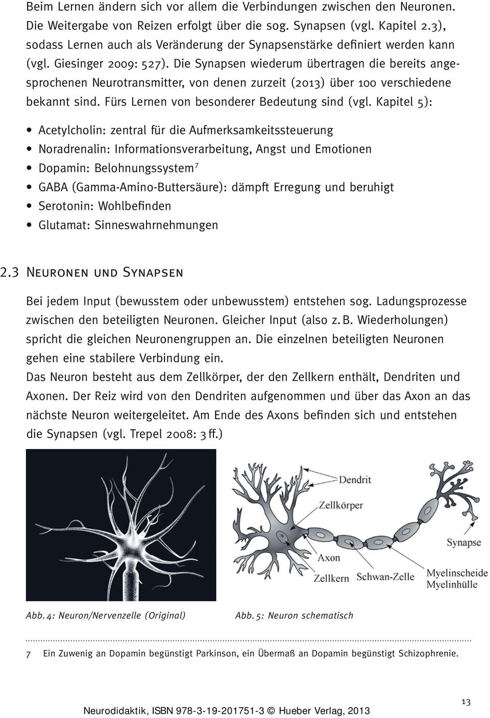 Die Synapsen wiederum übertragen die bereits angesprochenen Neurotransmitter, von denen zurzeit ( 2013 ) über 100 verschiedene bekannt sind. Fürs Lernen von besonderer Bedeutung sind ( vgl.