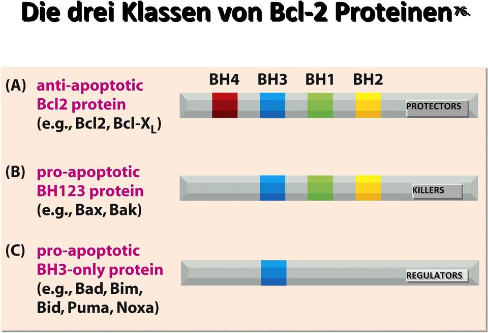 Proteinen 76.