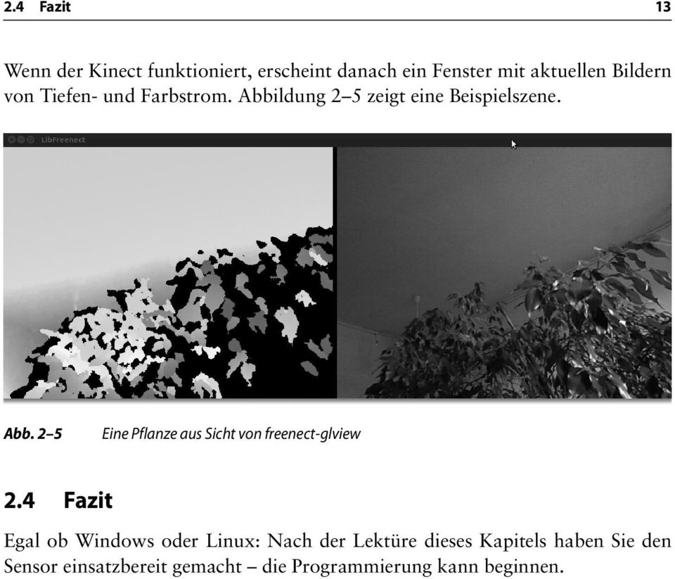 4 Fazit Egal ob Windows oder Linux: Nach der Lektüre dieses Kapitels haben Sie den Sensor