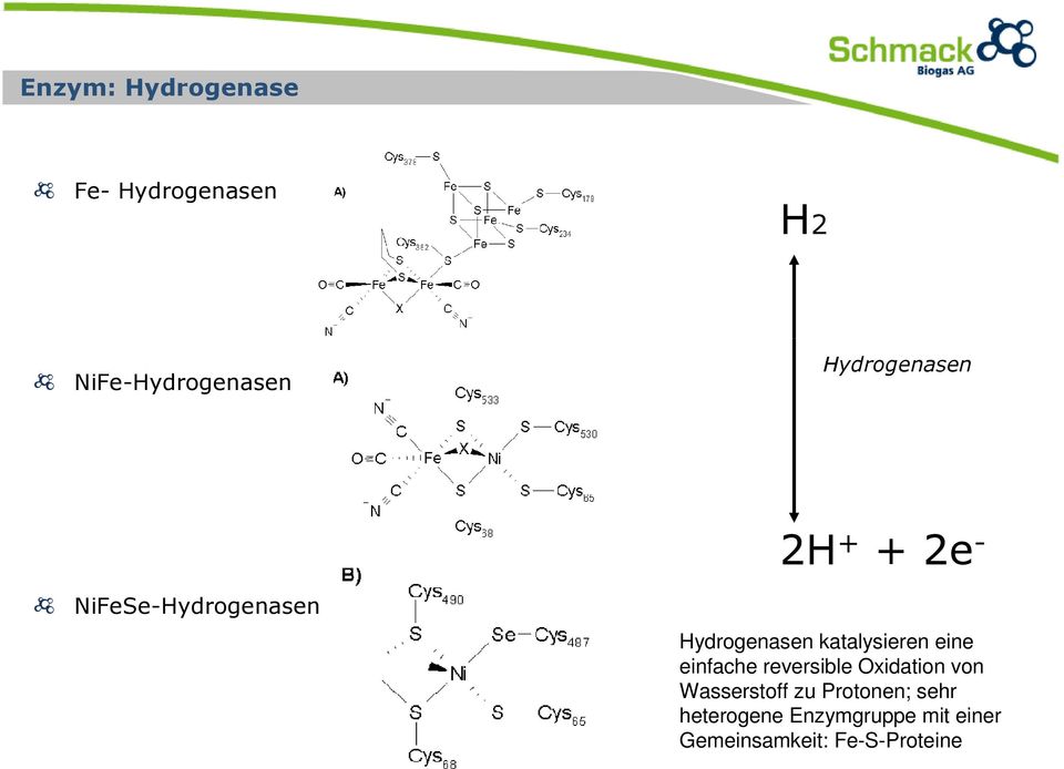 katalysieren eine einfache reversible Oxidation von Wasserstoff