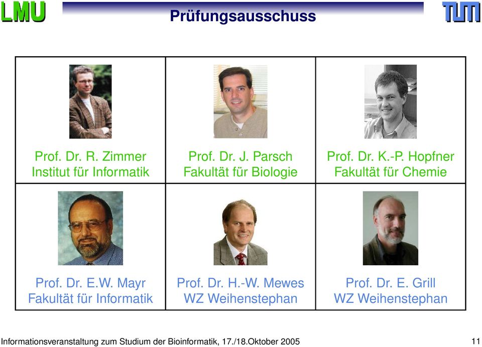 W. Mayr Prof. Dr. H.-W. Mewes Prof. Dr. E.
