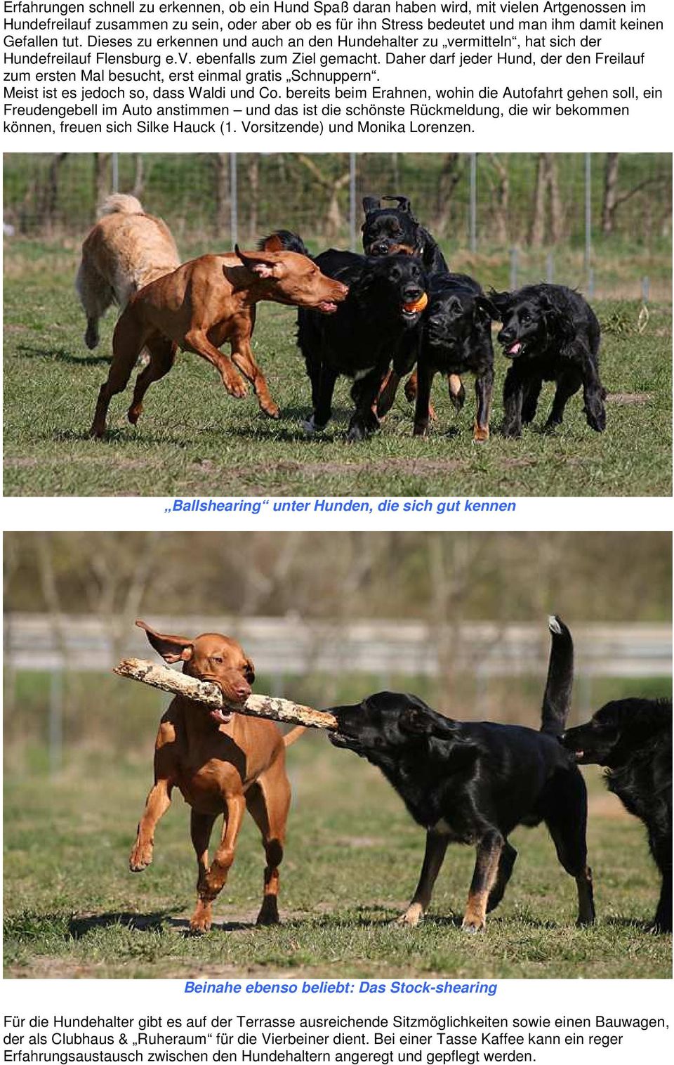 Daher darf jeder Hund, der den Freilauf zum ersten Mal besucht, erst einmal gratis Schnuppern. Meist ist es jedoch so, dass Waldi und Co.