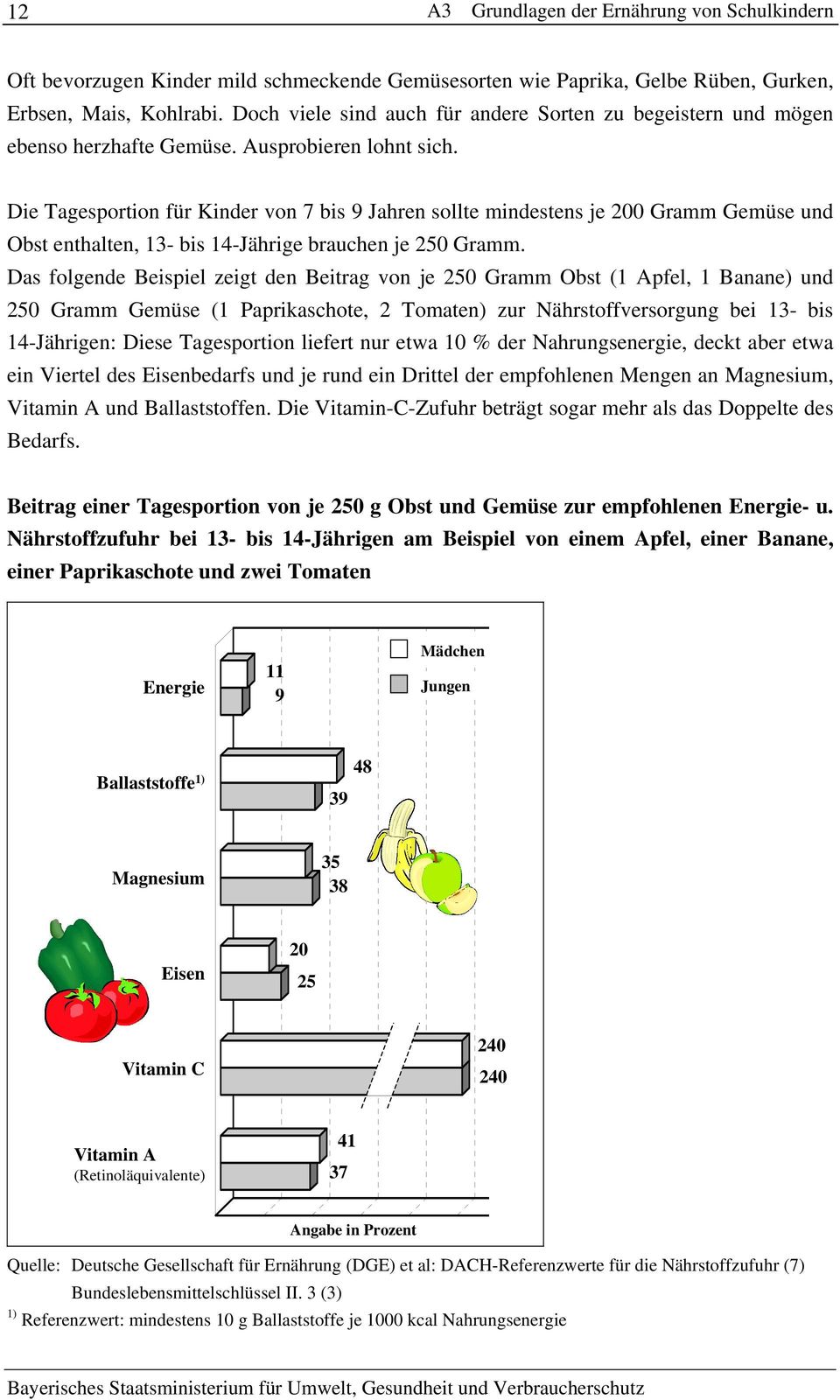 Das folgende Beispiel zeigt den Beitrag von je 250 Gramm Obst (1 Apfel, 1 Banane) und 250 Gramm Gemüse (1 Paprikaschote, 2 Tomaten) zur Nährstoffversorgung bei 13- bis 14-Jährigen: Diese Tagesportion