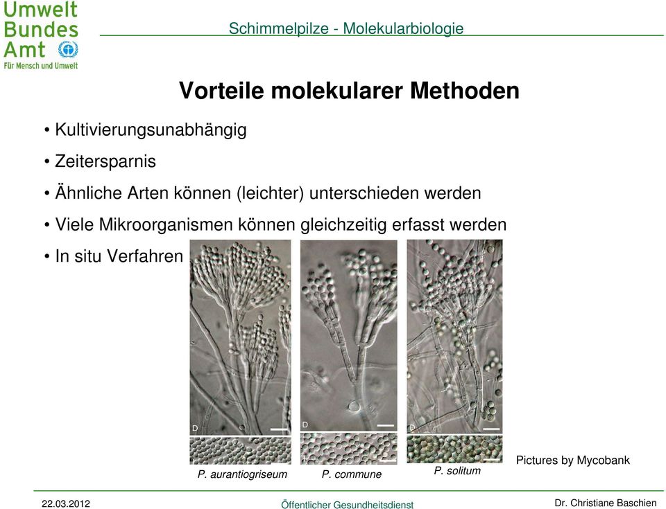 werden Viele Mikroorganismen können gleichzeitig erfasst werden