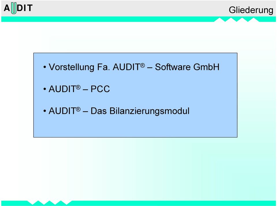 AUDIT Software GmbH