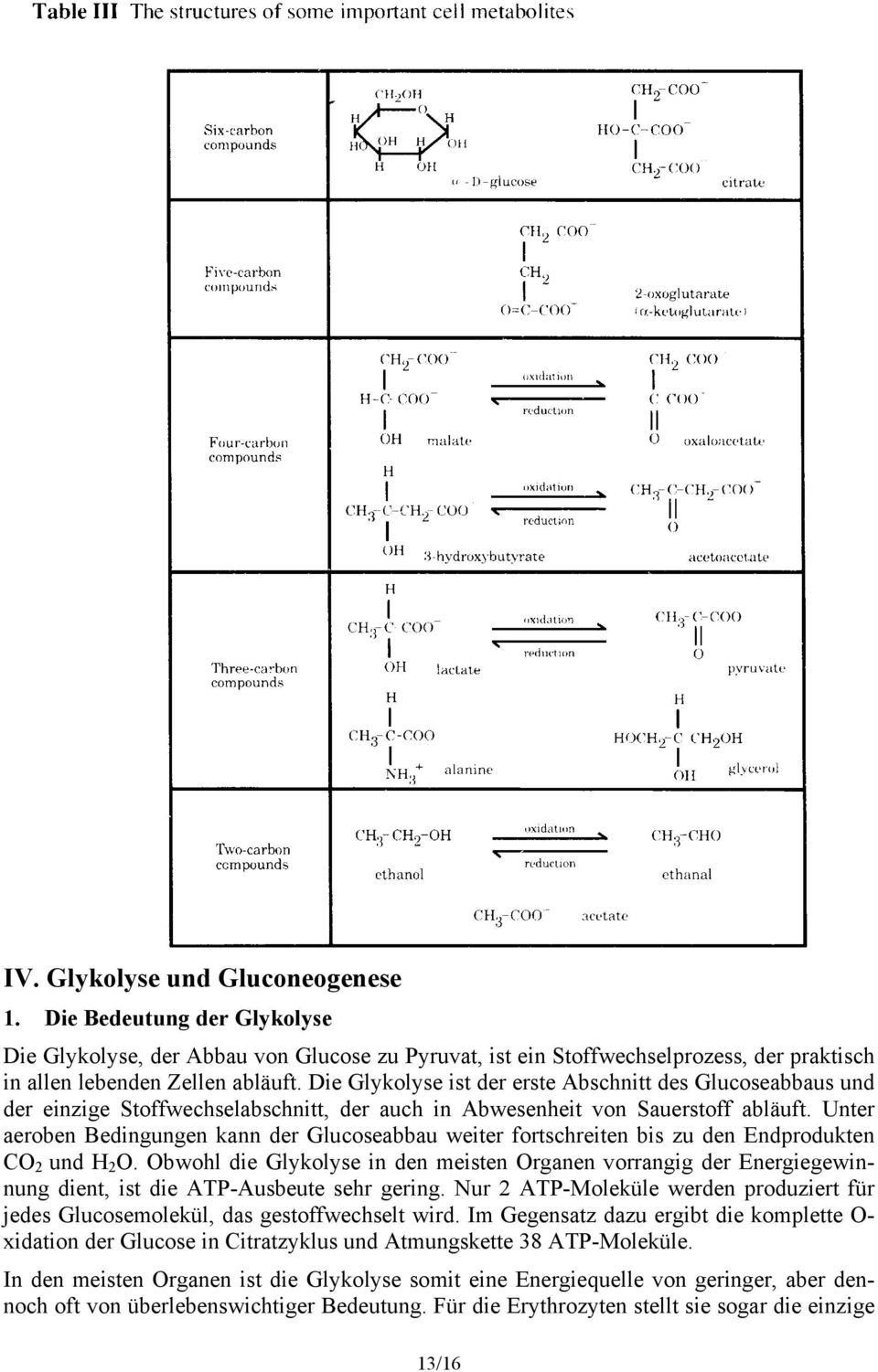 Unter aeroben Bedingungen kann der Glucoseabbau weiter fortschreiten bis zu den Endprodukten CO 2 und H 2 O.