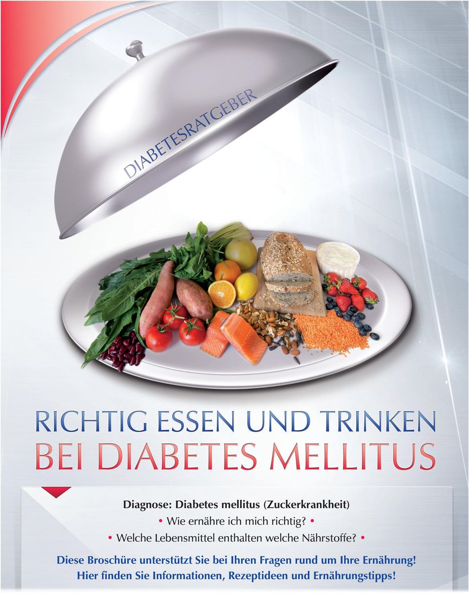 broschüre diabetes ernährung