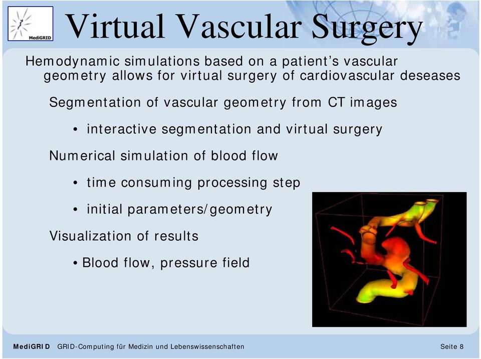 interactive segmentation and virtual surgery Numerical simulation of blood flow time consuming