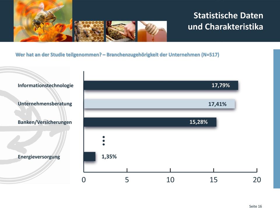 (N=517) Informationstechnologie