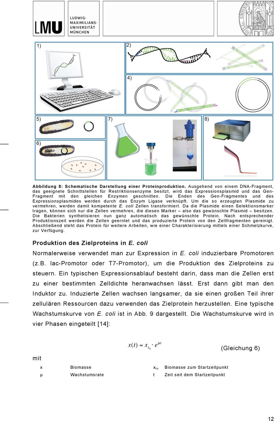 Die Enden des Gen-Fragmentes und des Expressionsplasmides werden durch das Enzym Ligase verknüpft. Um die so erzeugten Plasmide zu vermehren, werden damit kompetente E. coli Zellen transformiert.