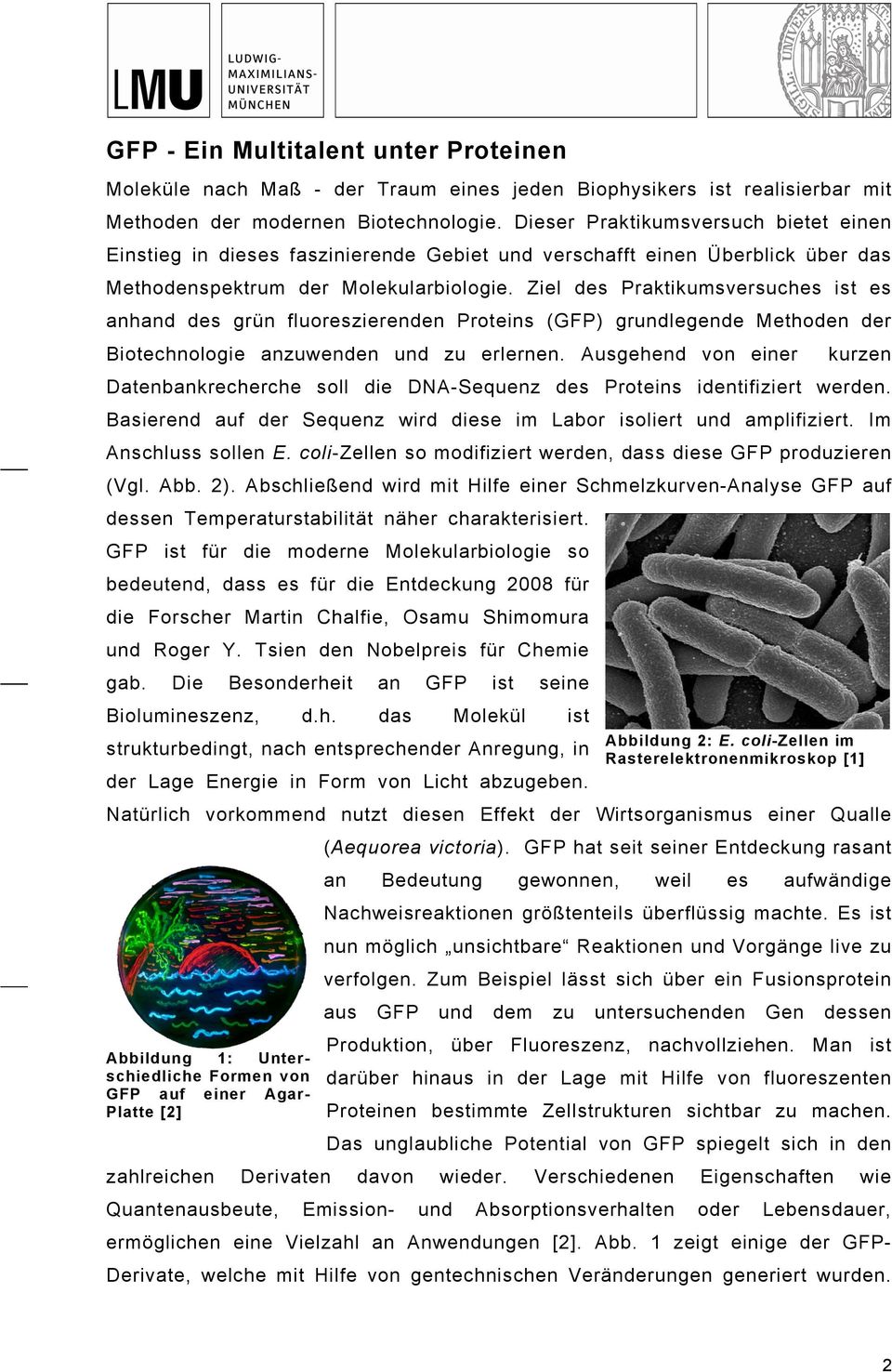 Ziel des Praktikumsversuches ist es anhand des grün fluoreszierenden Proteins (GFP) grundlegende Methoden der Biotechnologie anzuwenden und zu erlernen.