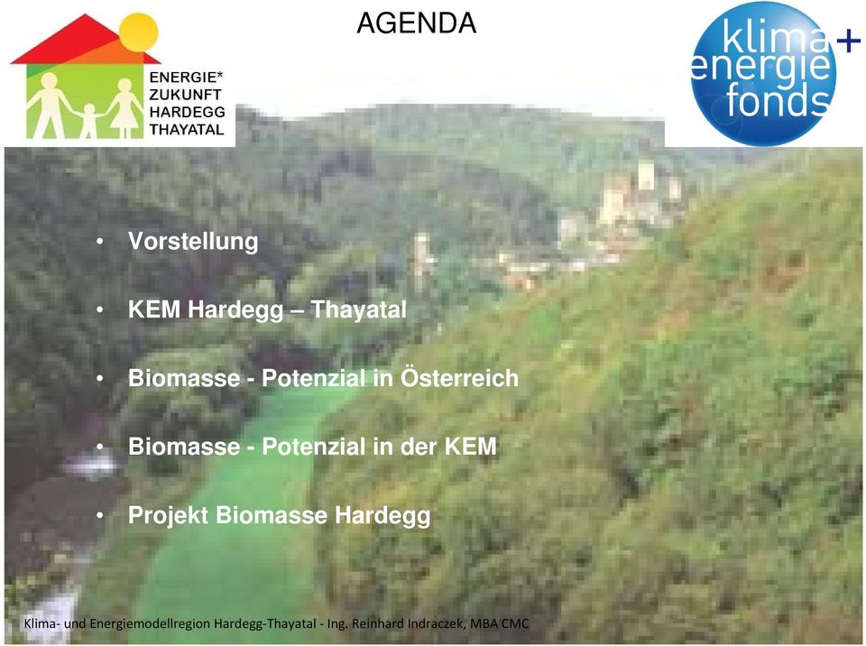 Österreich Biomasse - Potenzial