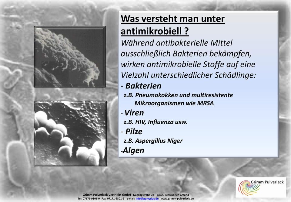 antimikrobielle Stoffe auf eine Vielzahl unterschiedlicher Schädlinge: - Bakterien