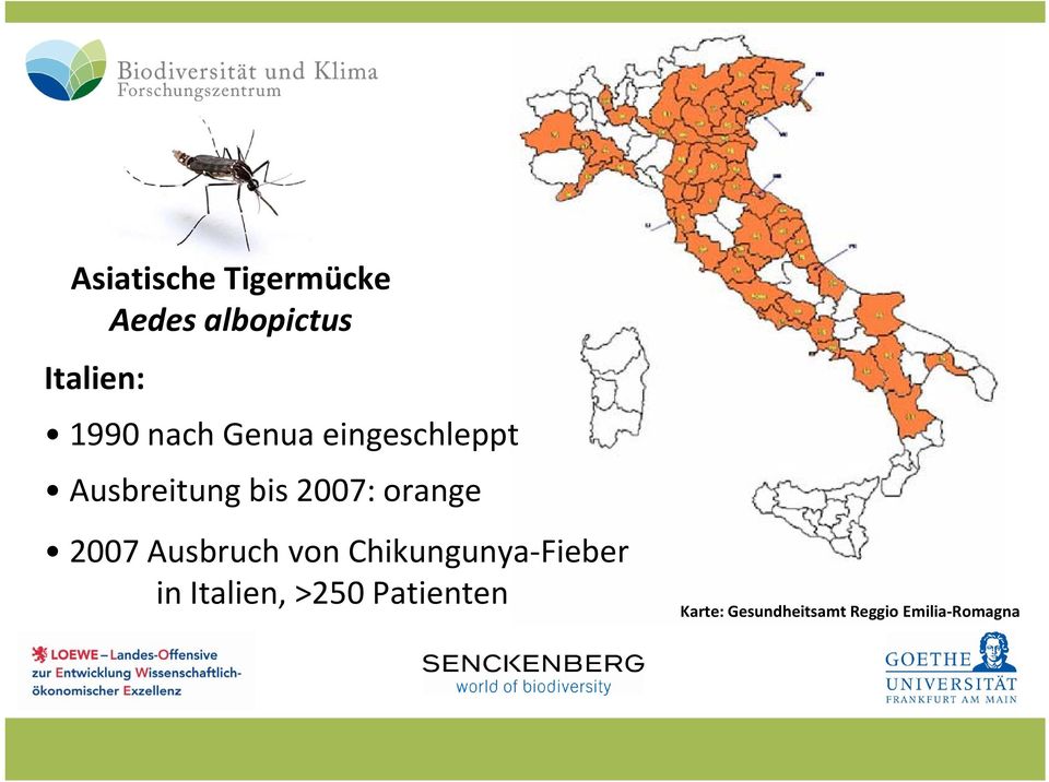 2007 Ausbruch von Chikungunya Fieber in Italien, >250