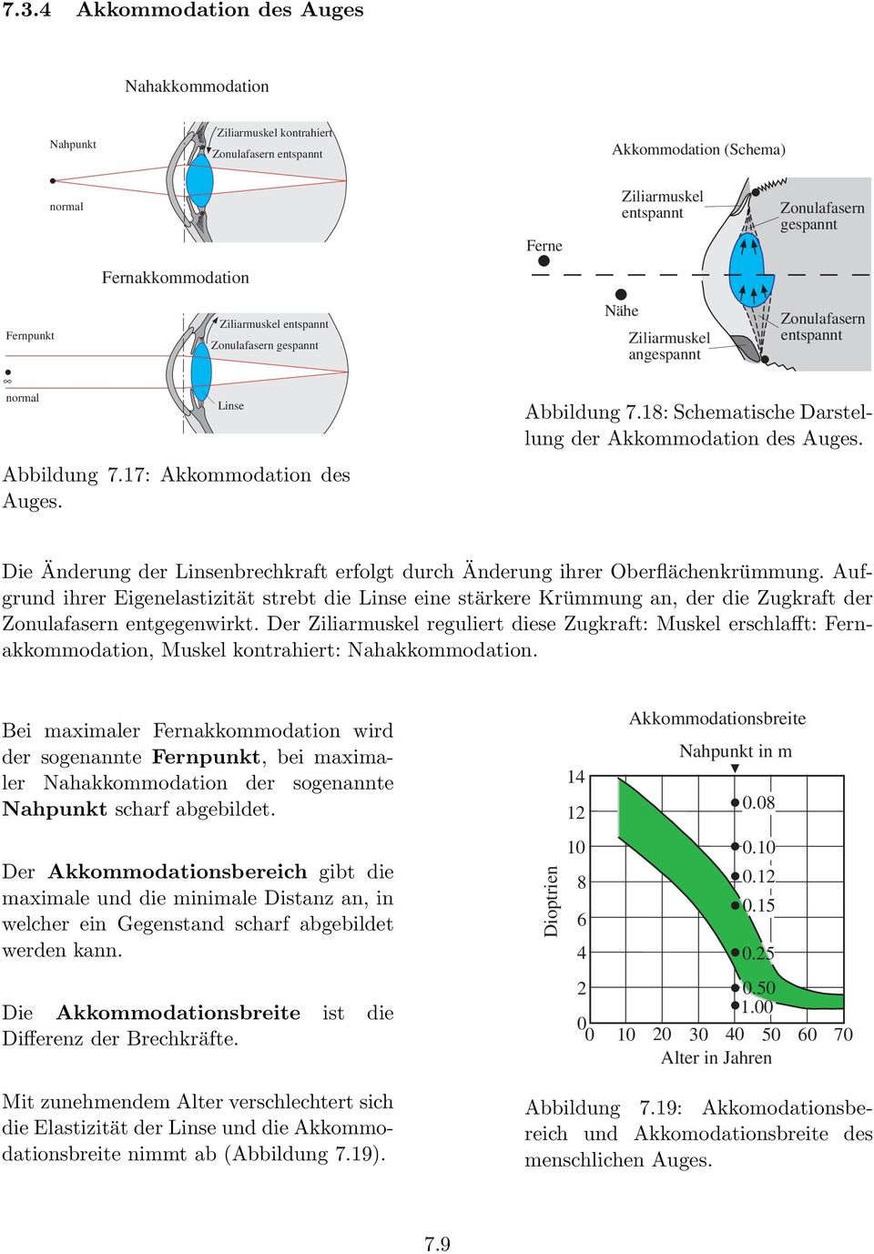 18: Schematische Darstellung der Akkommodation des Auges. Die Änderung der Linsenbrechkrat erolgt durch Änderung ihrer Oberlächenkrümmung.