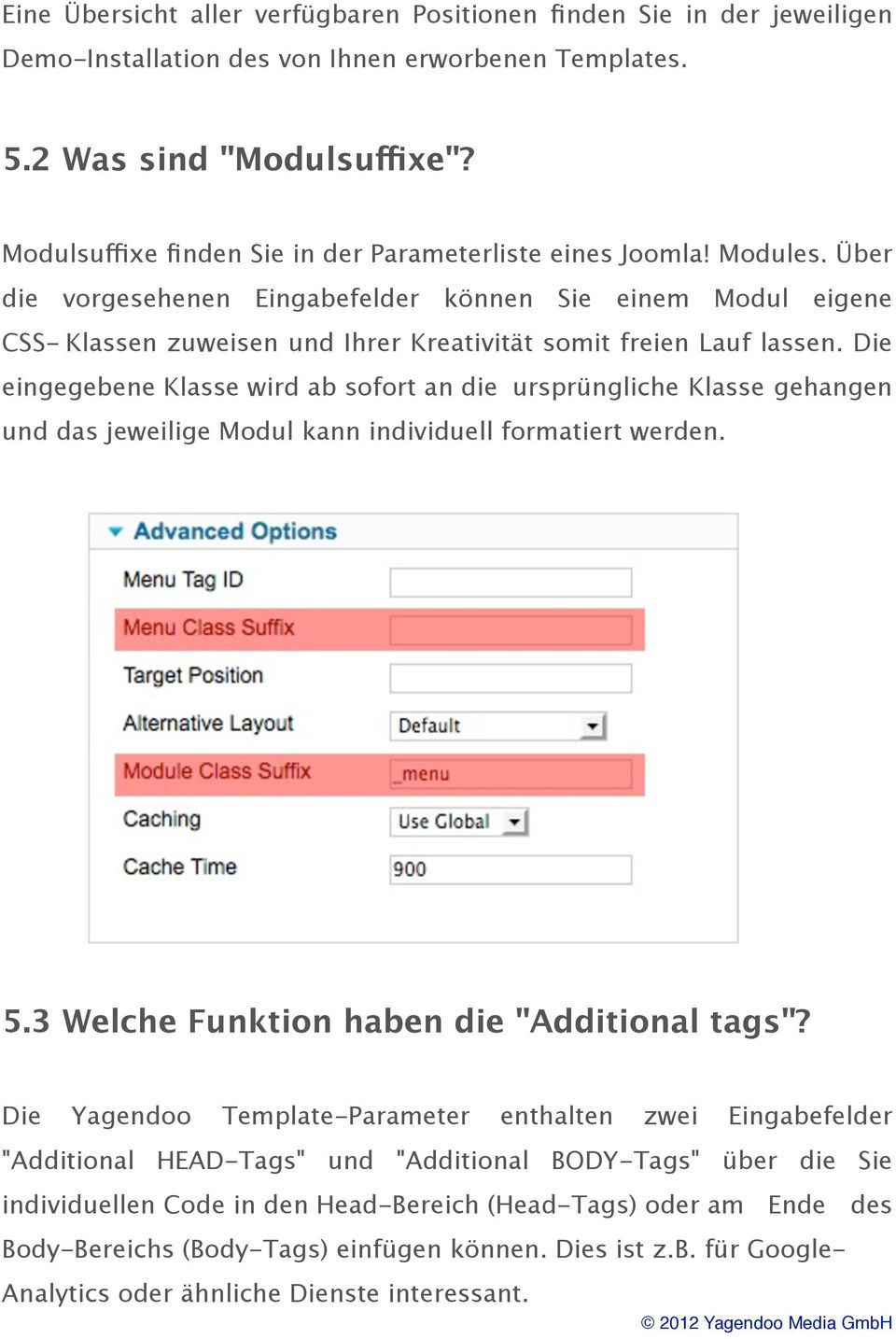 Über die vorgesehenen Eingabefelder können Sie einem Modul eigene CSS-Klassen zuweisen und Ihrer Kreativität somit freien Lauf lassen.