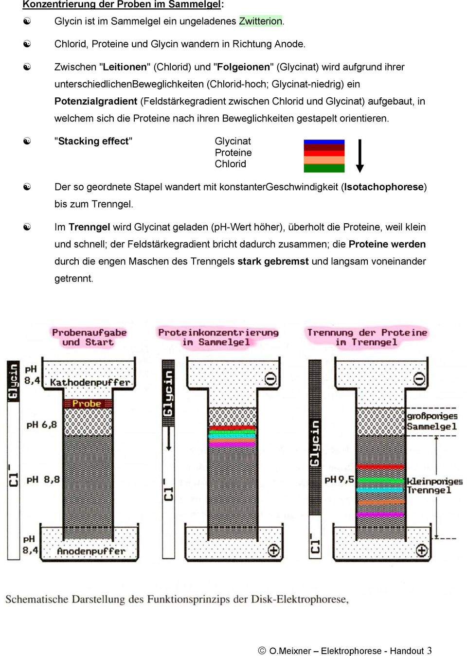 Chlorid und Glycinat) aufgebaut, in welchem sich die Proteine nach ihren Beweglichkeiten gestapelt orientieren.