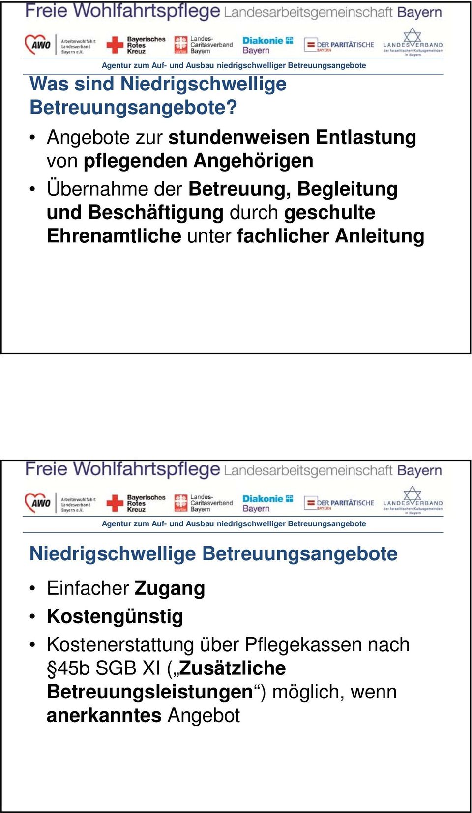 Begleitung und Beschäftigung durch geschulte Ehrenamtliche unter fachlicher Anleitung