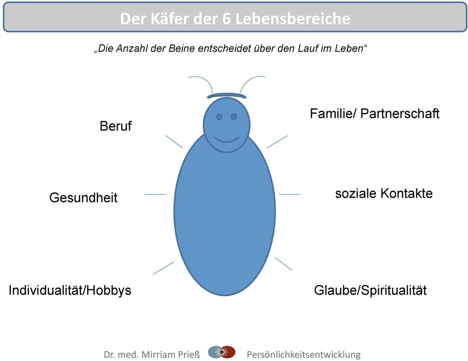 Gesundheit Individualität/Hobbys Familie/ Partnerschaft soziale