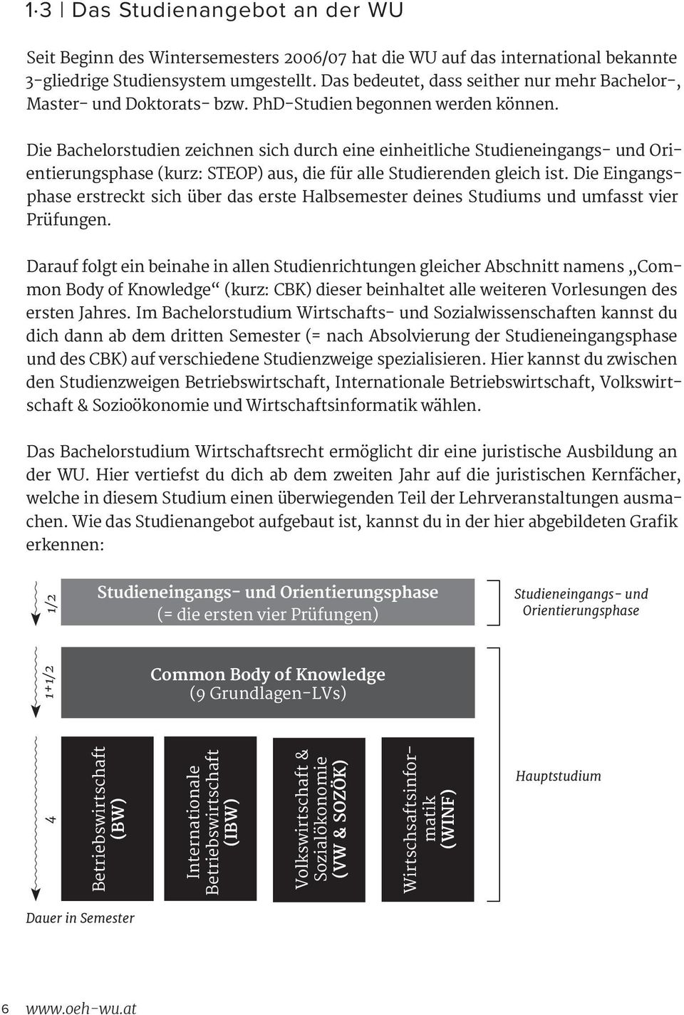 Die Bachelorstudien zeichnen sich durch eine einheitliche Studieneingangs- und Orientierungsphase (kurz: STEOP) aus, die für alle Studierenden gleich ist.