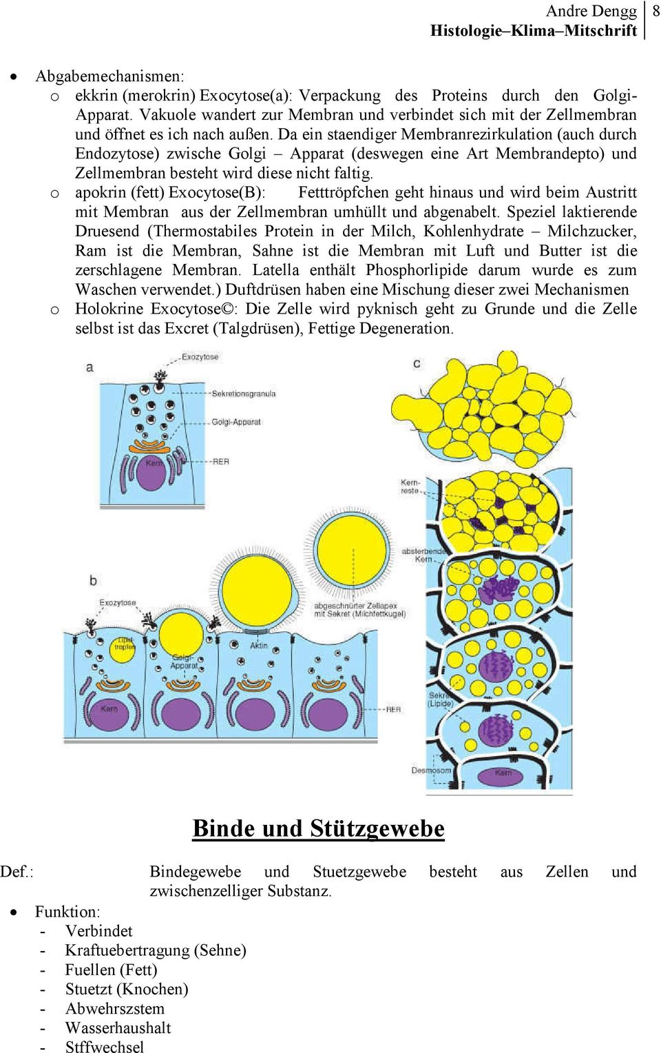 apokrin (fett) Exocytose(B): Fetttröpfchen geht hinaus und wird beim Austritt mit Membran aus der Zellmembran umhüllt und abgenabelt.
