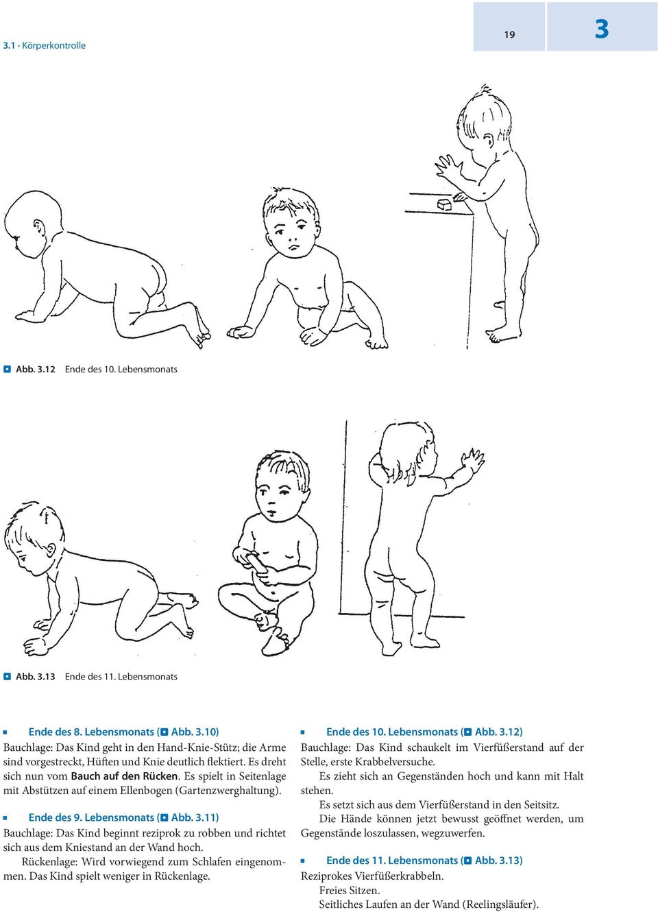 11) Bauchlage: Das Kind beginnt reziprok zu robben und richtet sich aus dem Kniestand an der Wand hoch. Rückenlage: Wird vorwiegend zum Schlafen eingenommen. Das Kind spielt weniger in Rückenlage.