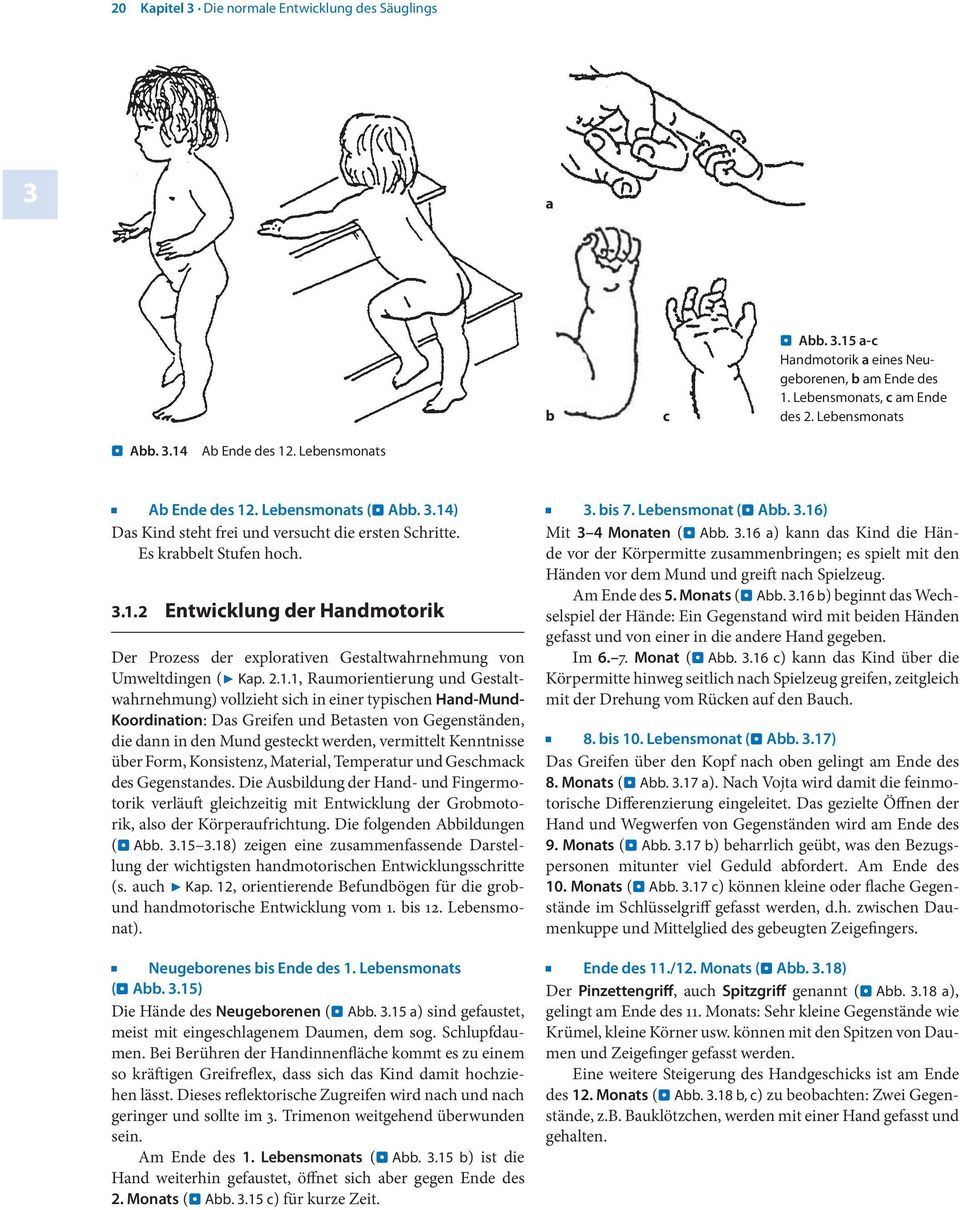 2 Entwicklung der Handmotorik Der Prozess der explorativen Gestaltwahrnehmung von Umweltdingen (7 Kap. 2.1.
