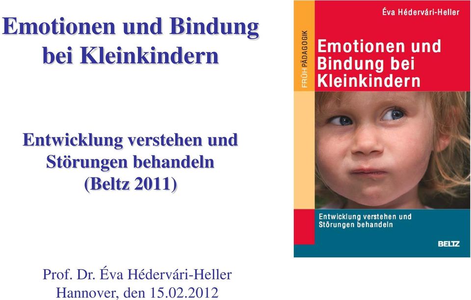 behandeln (Beltz 2011) Prof. Dr.