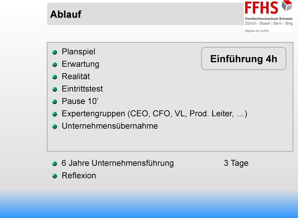 Expertengruppen (CEO, CFO, VL, Prod.