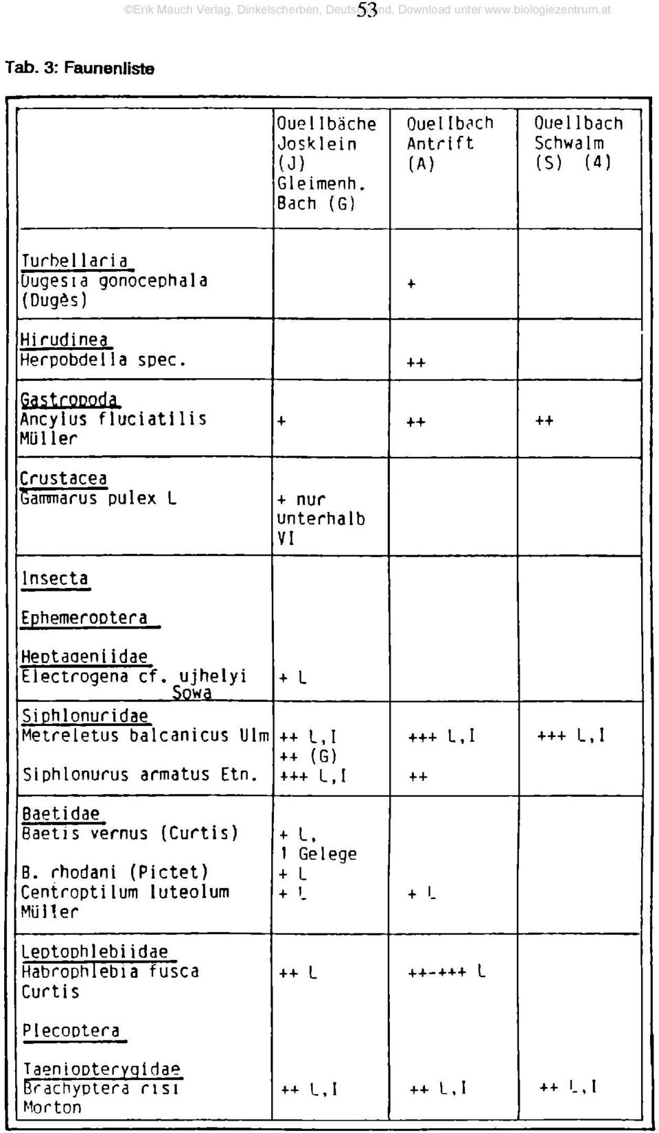 pastroooda Ancylus fluciatilis Mül 1er + ++ ++ ++ Crustacea Gammarus pul ex L + nur unterhalb VI lnsecta EphemeroDtera HeDtaaeni idae Electrogena cf.