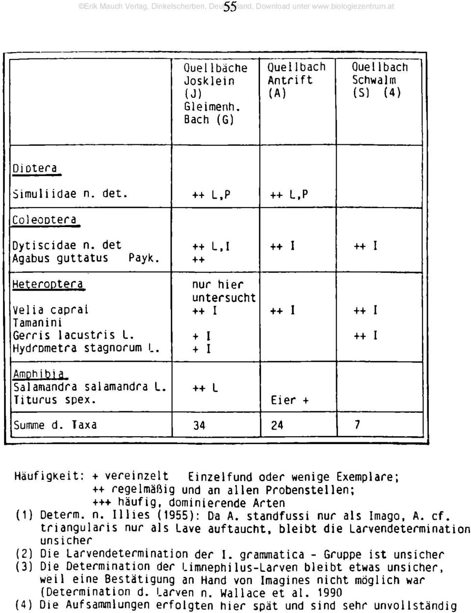 Taxa 34 24 7 Häufigkeit: + vereinzelt Einzelfund oder wenige Exemplare; ++ regelmäßig und an allen Probenstellen; +++ häufig, dominierende Arten (1) Determ. n. II lies (1955): Da A.