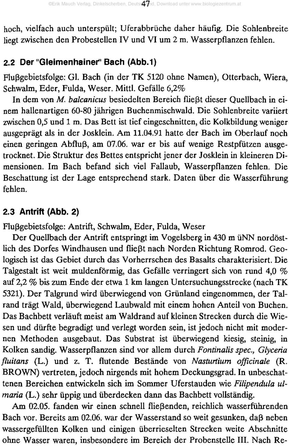 balcanicus besiedelten Bereich fließt dieser Quellbach in einem hallenartigen 60-80 jährigen Buchenmischwald. Die Sohlenbreite variiert zwischen 0,5 und 1 m.