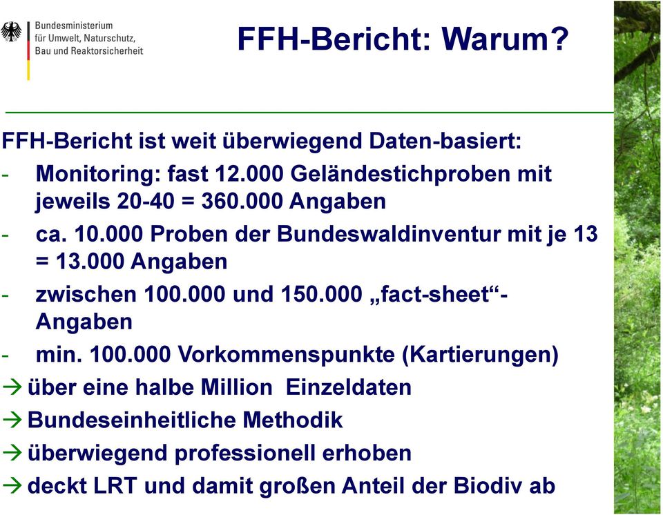 000 Proben der Bundeswaldinventur mit je 13 = 13.000 Angaben - zwischen 100.000 und 150.