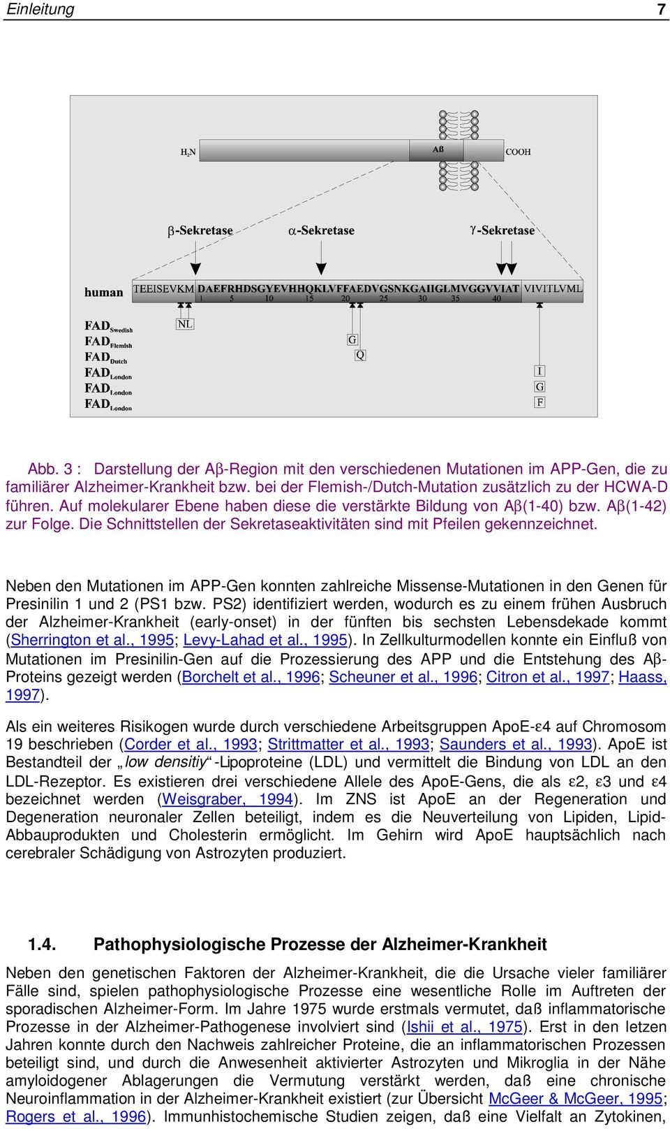 Neben den Mutationen im APP-Gen konnten zahlreiche Missense-Mutationen in den Genen für Presinilin 1 und 2 (PS1 bzw.