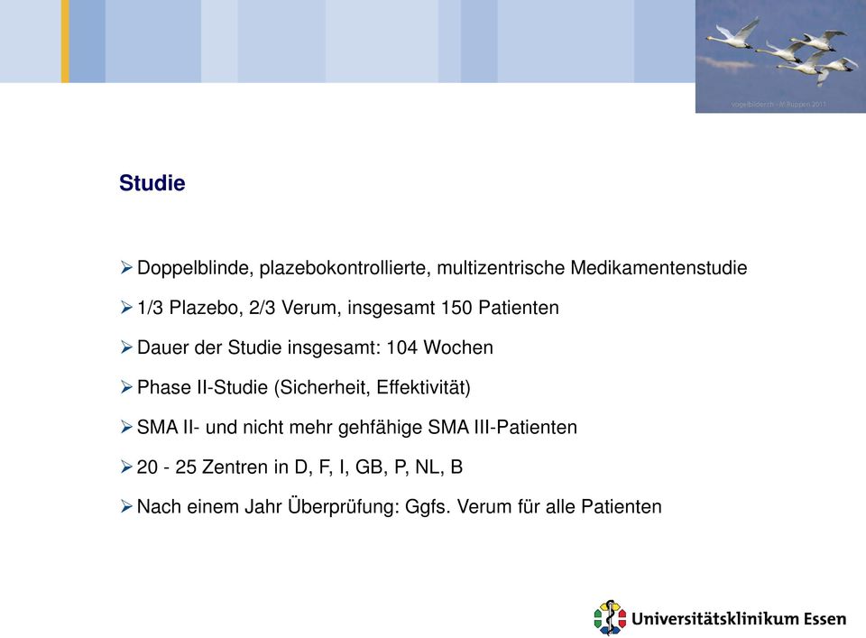 (Sicherheit, Effektivität) SMA II- und nicht mehr gehfähige SMA III-Patienten 20-25 Zentren