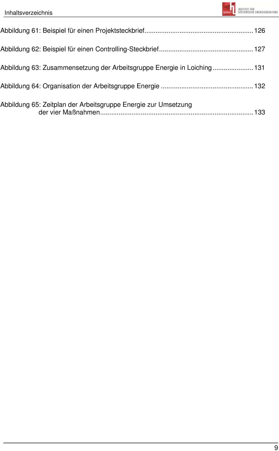 .. 127 Abbildung 63: Zusammensetzung der Arbeitsgruppe Energie in Loiching.