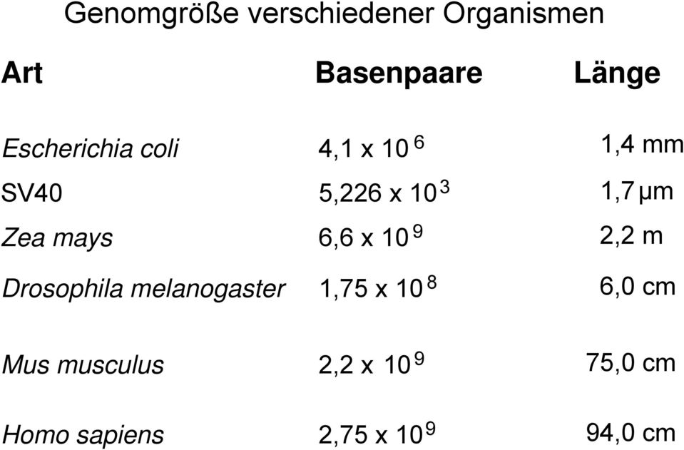 Zea mays 6,6 x 10 9 2,2 m Drosophila melanogaster 1,75 x 10 8