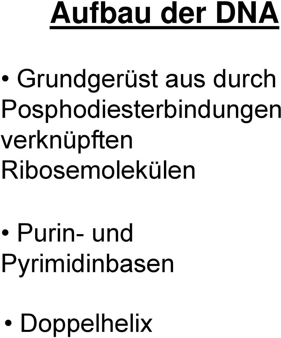 verknüpften Ribosemolekülen