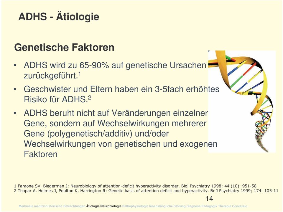 2 ADHS beruht nicht auf Veränderungen einzelner Gene, sondern auf Wechselwirkungen mehrerer Gene (polygenetisch/additiv) und/oder