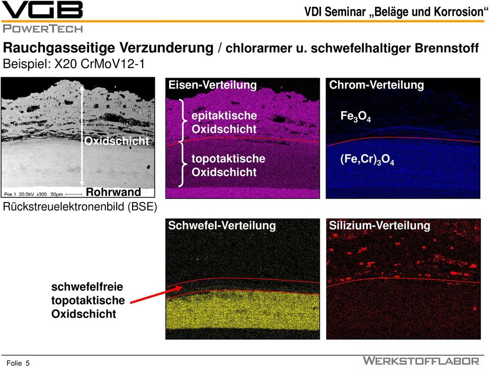 Chrom-Verteilung Oxidschicht Rohrwand Rückstreuelektronenbild (BSE) epitaktische