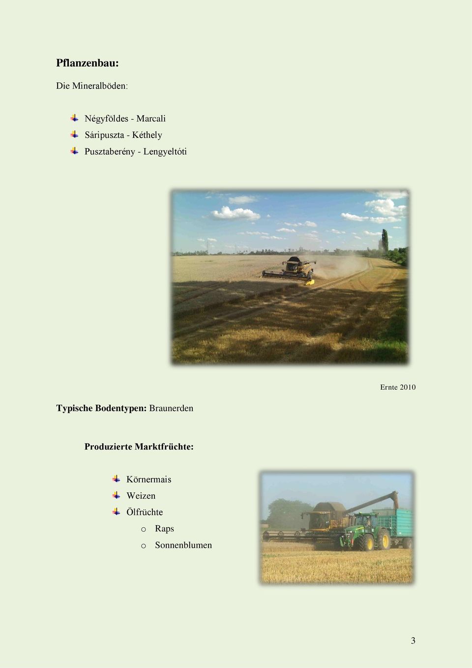 2010 Typische Bodentypen: Braunerden Produzierte
