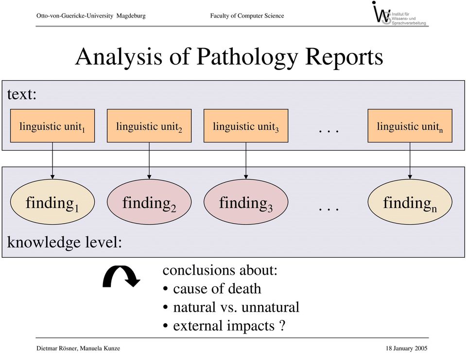 .. linguistic unit n finding 1 finding 2 finding 3.