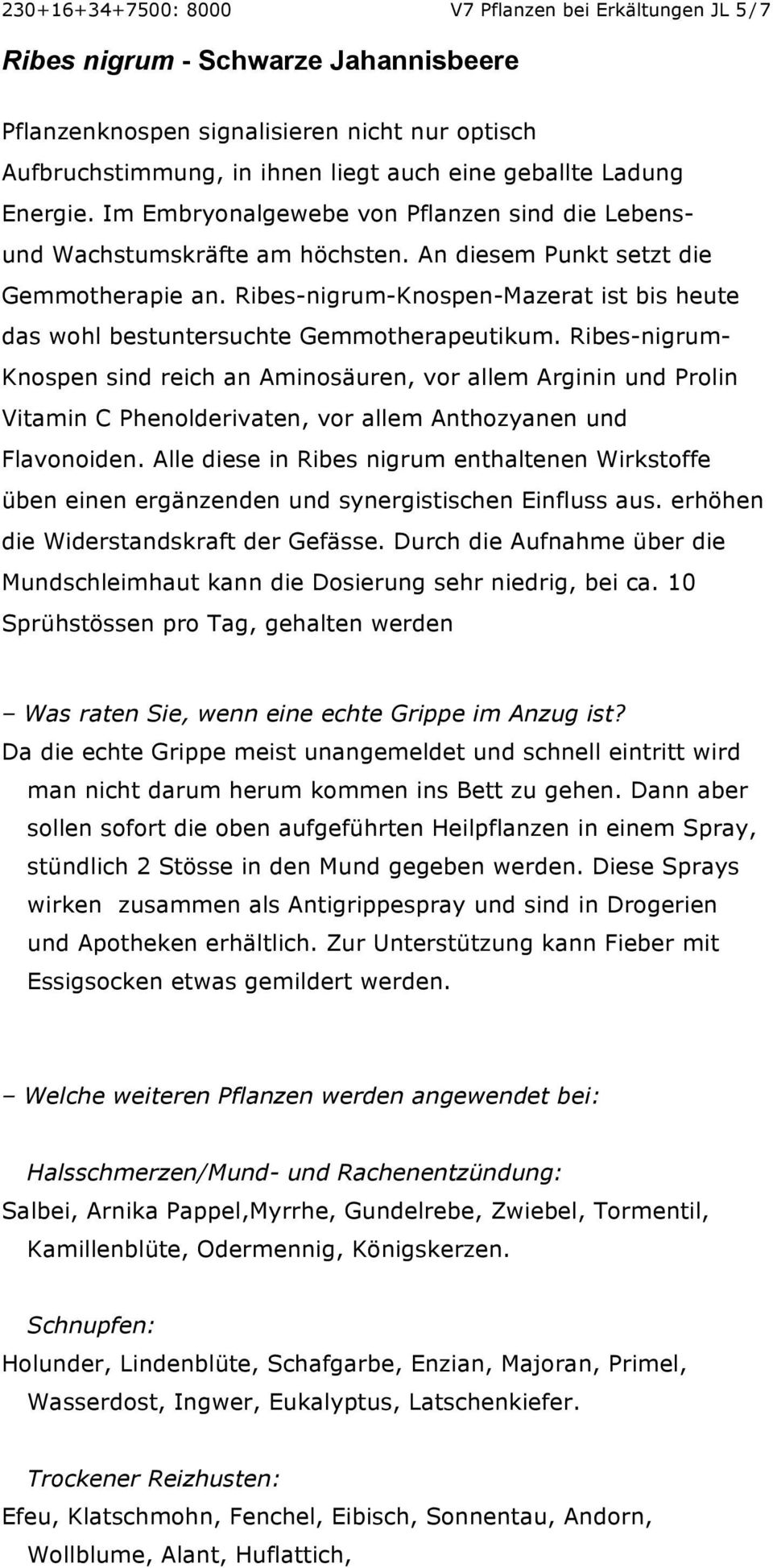 Ribes-nigrum-Knospen-Mazerat ist bis heute das wohl bestuntersuchte Gemmotherapeutikum.